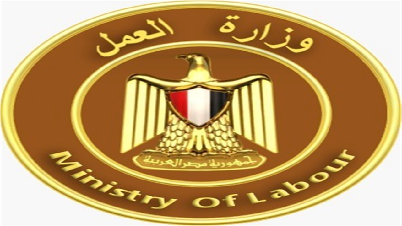 بموجب القانون.. 6 حالات تمنع جهة العمل من رفض طلب إجادتك الرسمية